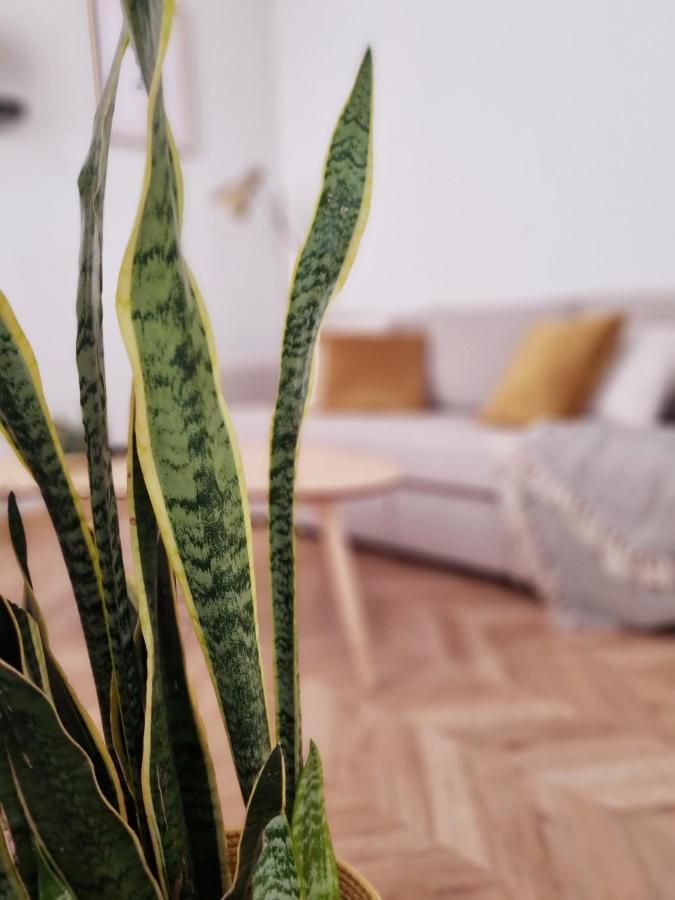 Cozy Apartment In The City Center Granada Kültér fotó